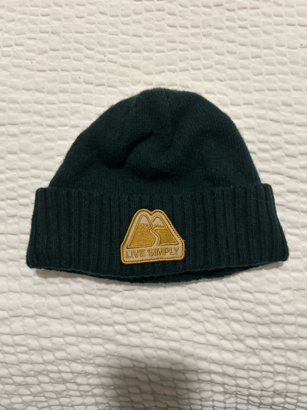 Patagonia Forest Green Brodeo Beanie